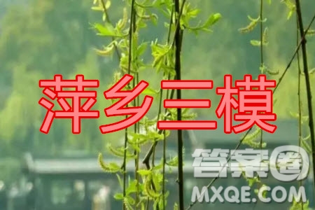 2020年萍鄉(xiāng)市高三第三次模擬考試?yán)砜茢?shù)學(xué)試題及答案