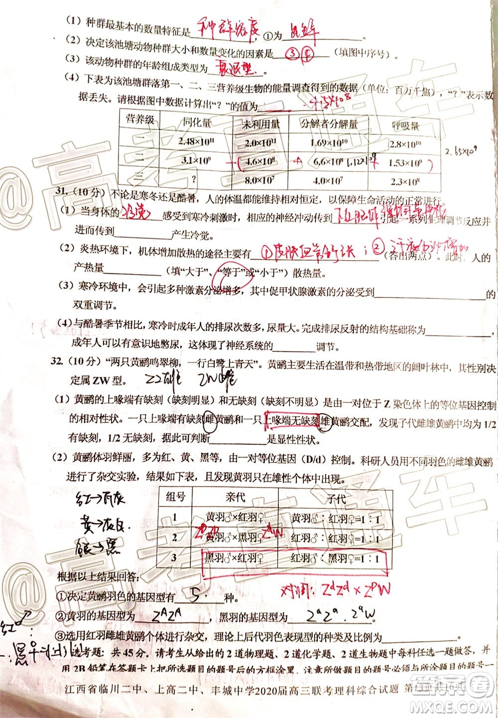 江西省臨川二中上高二中豐城中學(xué)2020屆高三聯(lián)考理科綜合試題及答案