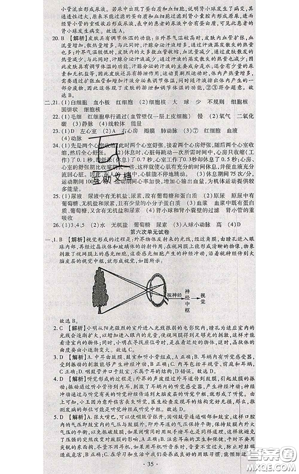 2020春全程測(cè)評(píng)試卷七年級(jí)生物下冊(cè)人教版答案