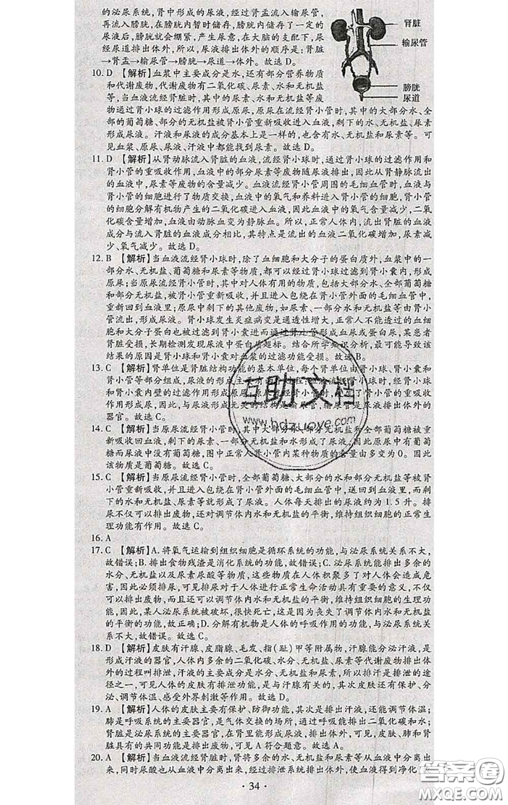 2020春全程測(cè)評(píng)試卷七年級(jí)生物下冊(cè)人教版答案