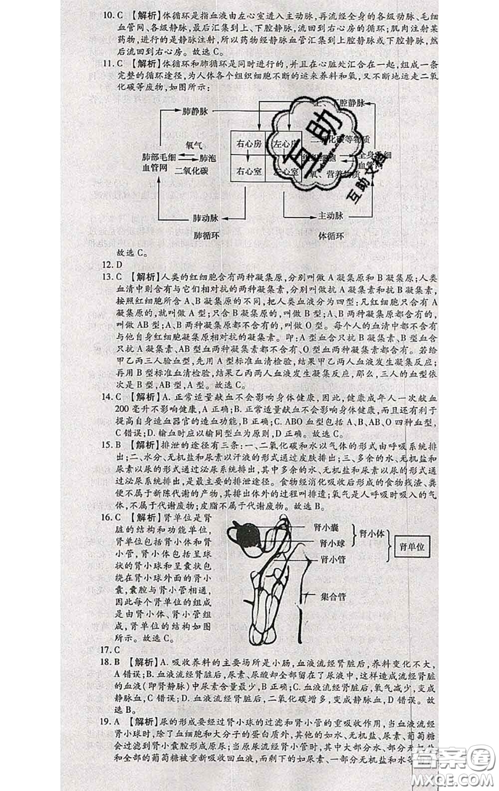 2020春全程測(cè)評(píng)試卷七年級(jí)生物下冊(cè)人教版答案