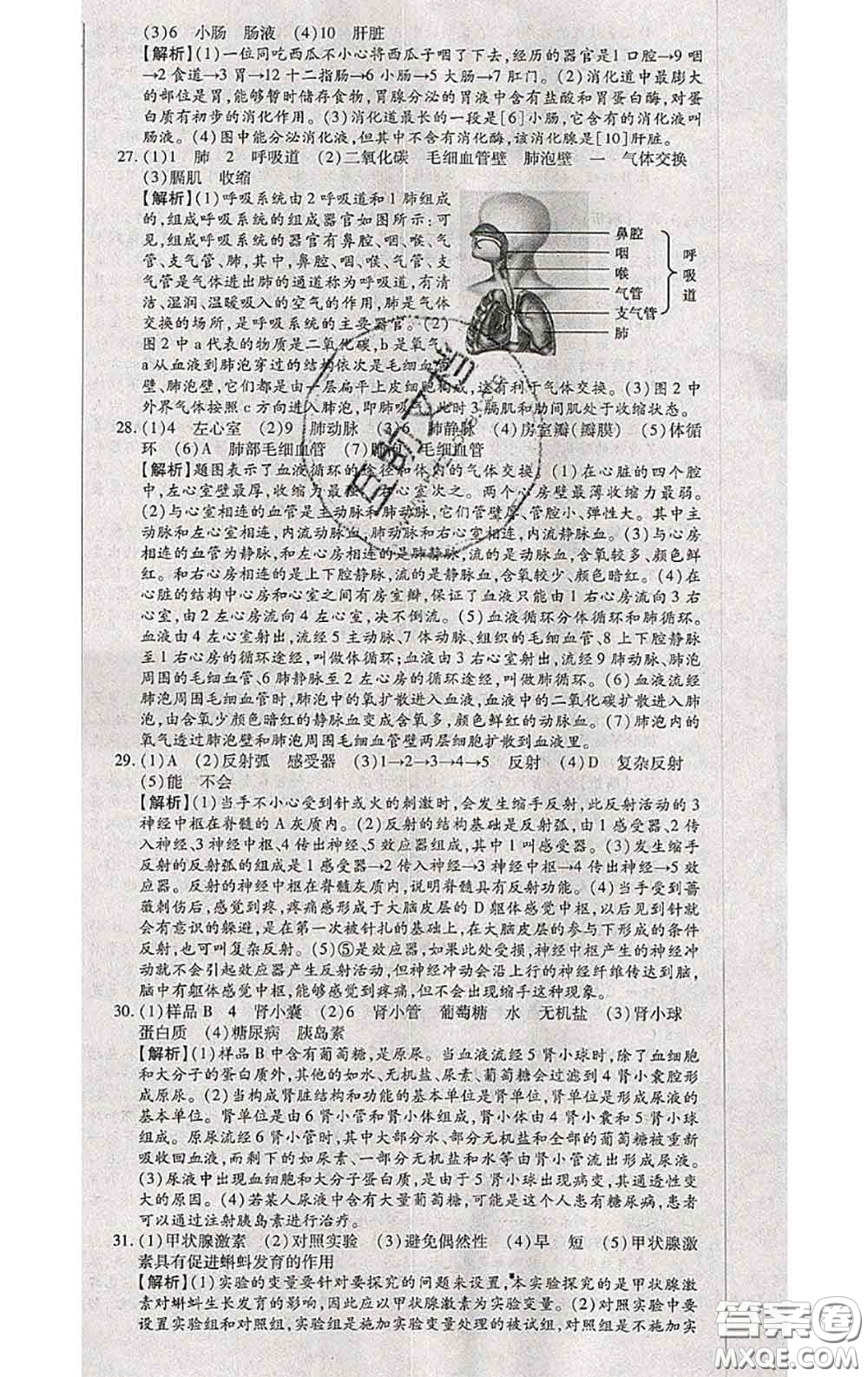 2020春全程測(cè)評(píng)試卷七年級(jí)生物下冊(cè)人教版答案