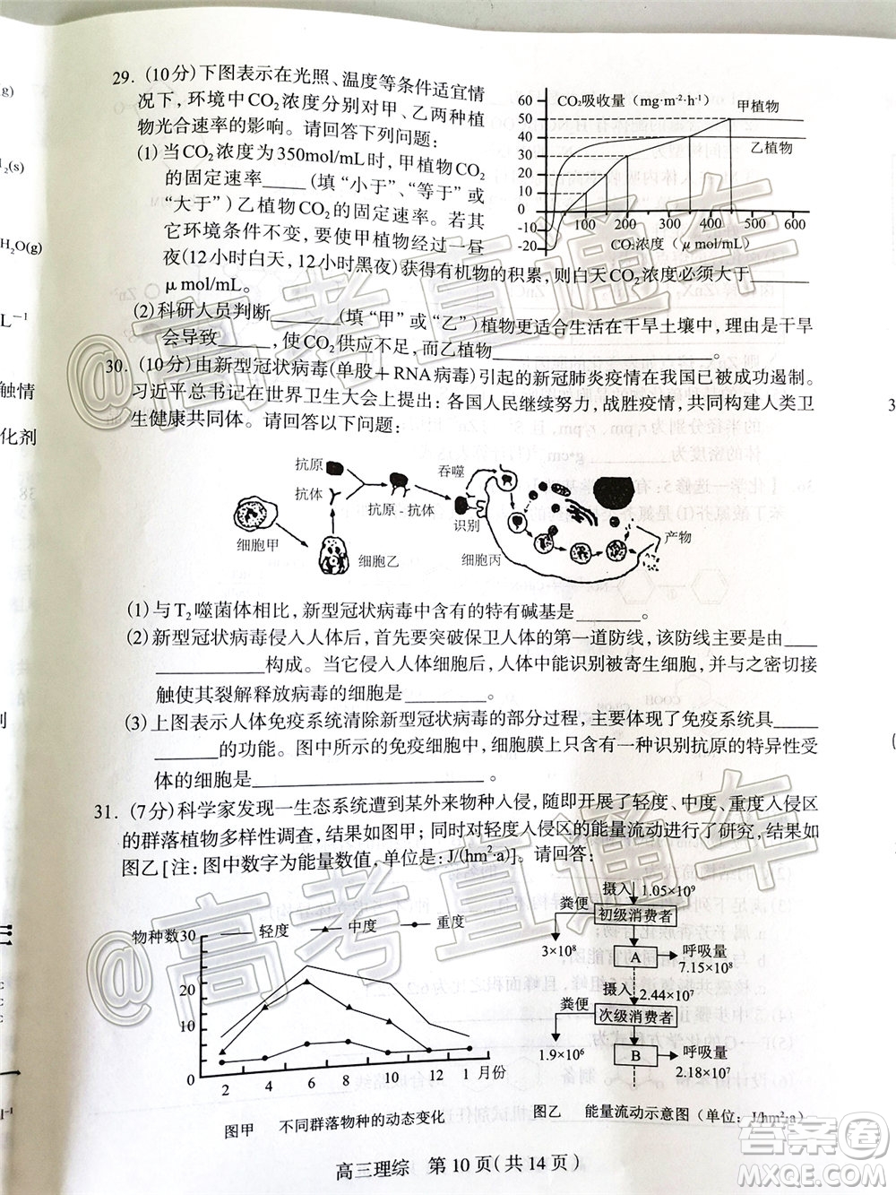 石家莊市2020屆高中畢業(yè)班綜合訓練二理科綜合試題及答案