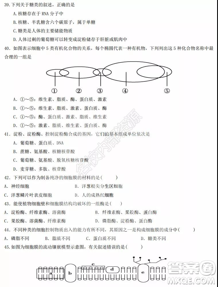 黑龍江省實(shí)驗(yàn)中學(xué)2019-2020學(xué)年下學(xué)期高二年級期中考試?yán)砜凭C合試卷及答案