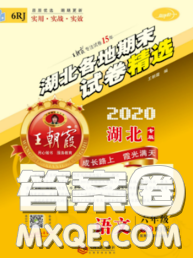 2020年王朝霞各地期末試卷精選六年級語文下冊人教版湖北專版答案