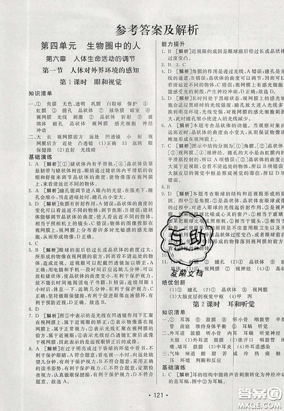 2020年同行學(xué)案學(xué)練測七年級生物下冊魯科版答案