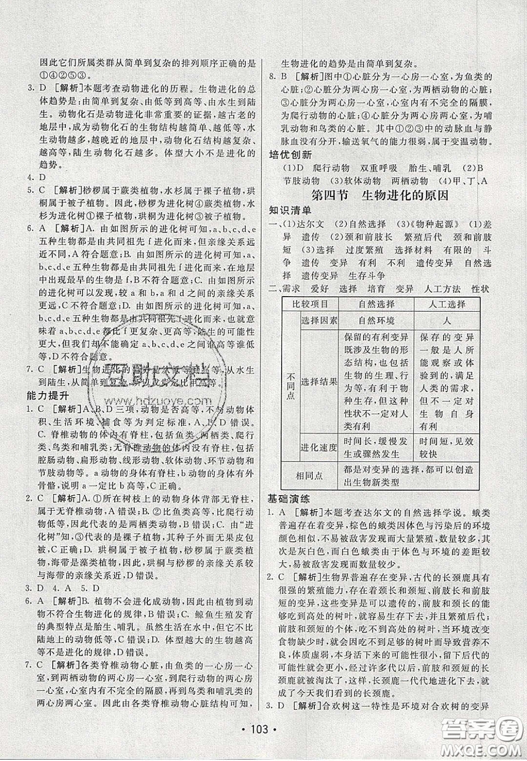 2020年同行學(xué)案學(xué)練測八年級生物下冊人教版答案