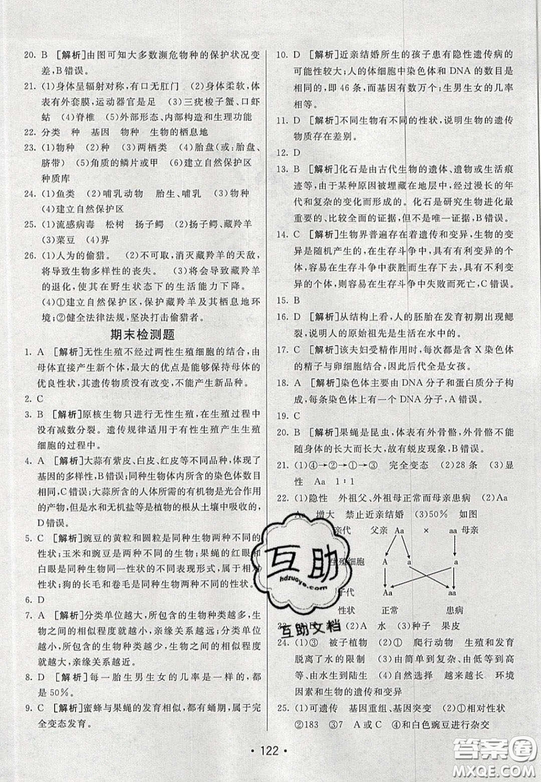 2020年同行學(xué)案學(xué)練測八年級生物下冊魯教版答案