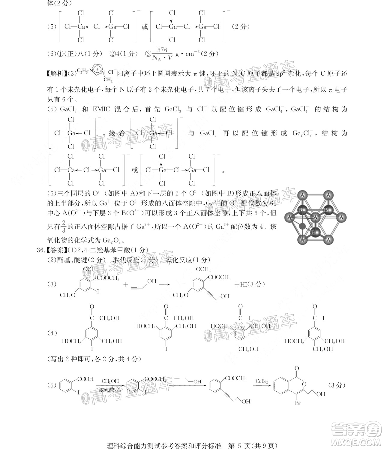 2020年華大新高考聯(lián)盟名校押題卷6月理科綜合試題及答案