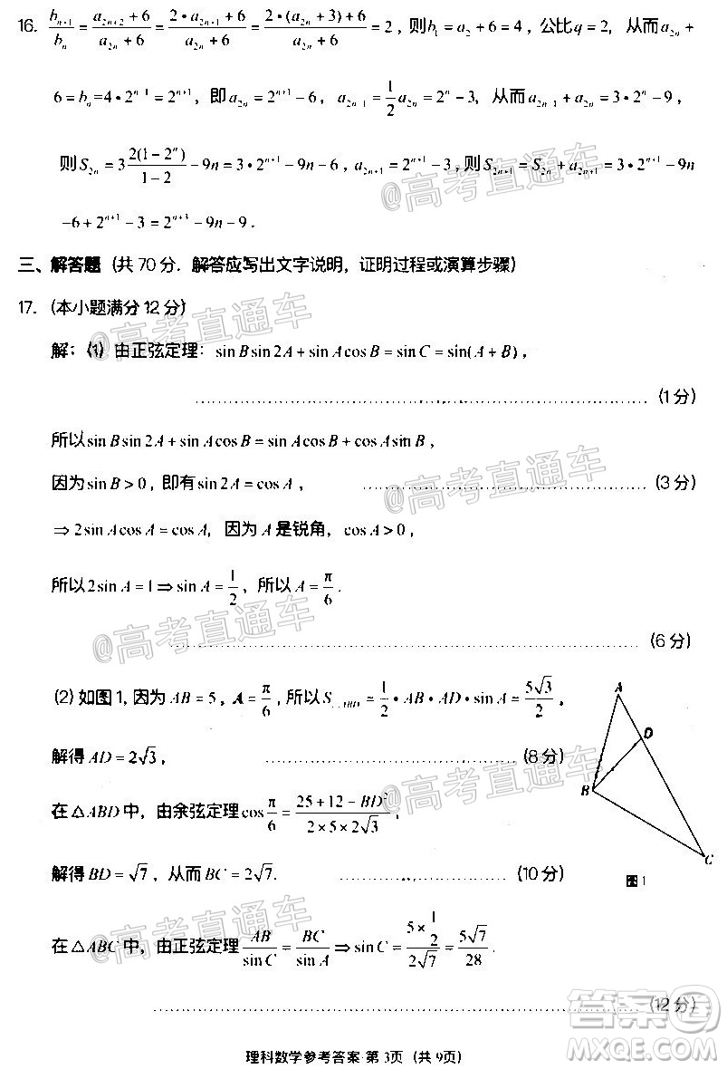 巴蜀中學2020屆高考適應(yīng)性月考卷十理科數(shù)學試題及答案