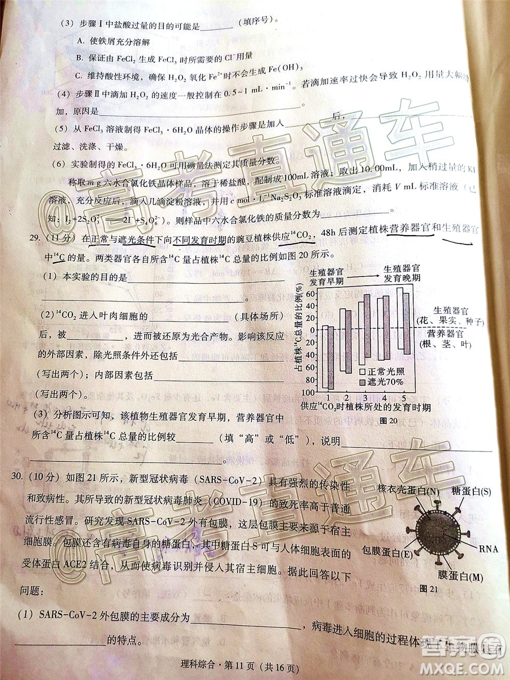 巴蜀中學(xué)2020屆高考適應(yīng)性月考卷十理科綜合試題及答案