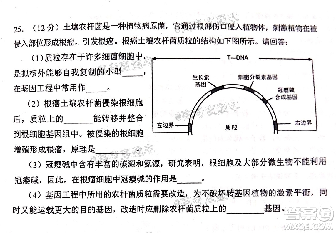 2020年淄博三模高三生物試題及答案