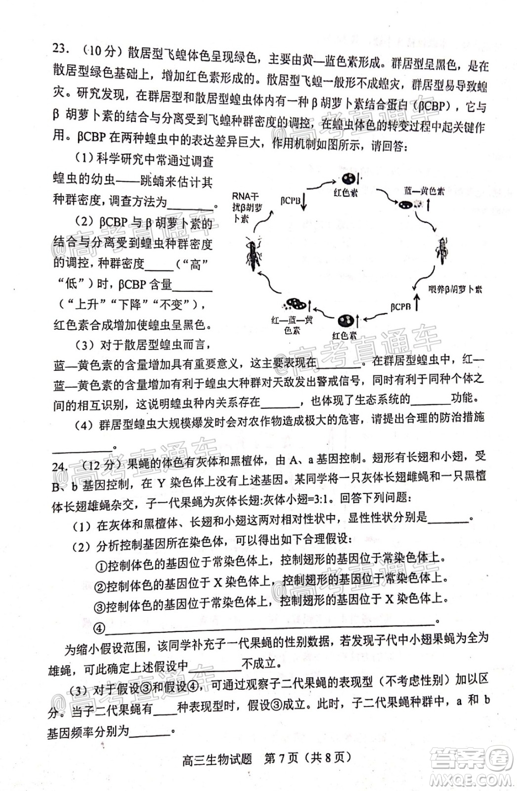 2020年淄博三模高三生物試題及答案