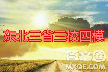 2020年東北三省三校四模理科數(shù)學(xué)試題及答案