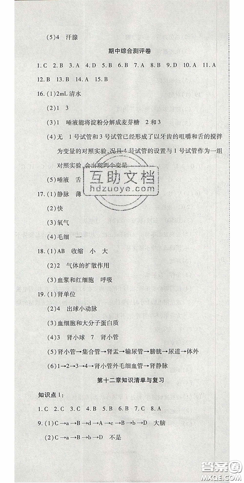 2020開心一卷通全優(yōu)大考卷七年級生物下冊北師大版答案