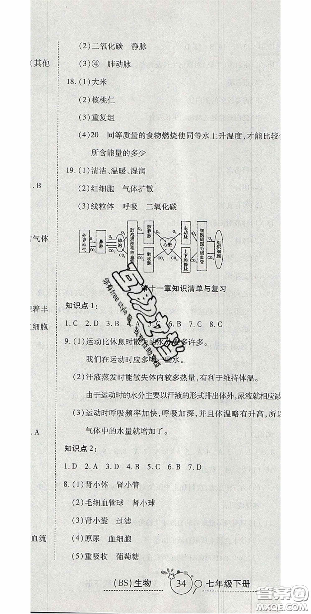 2020開心一卷通全優(yōu)大考卷七年級生物下冊北師大版答案