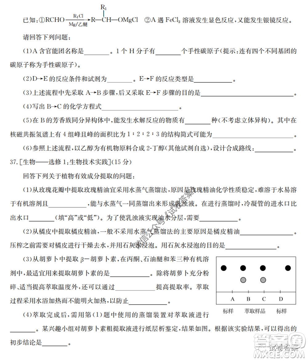 2020年高考全國卷考前沖刺演練精品密卷II理科綜合試題及答案