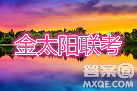 2020年金太陽(yáng)6月百萬(wàn)聯(lián)考全國(guó)I卷8001C理科數(shù)學(xué)試題及答案