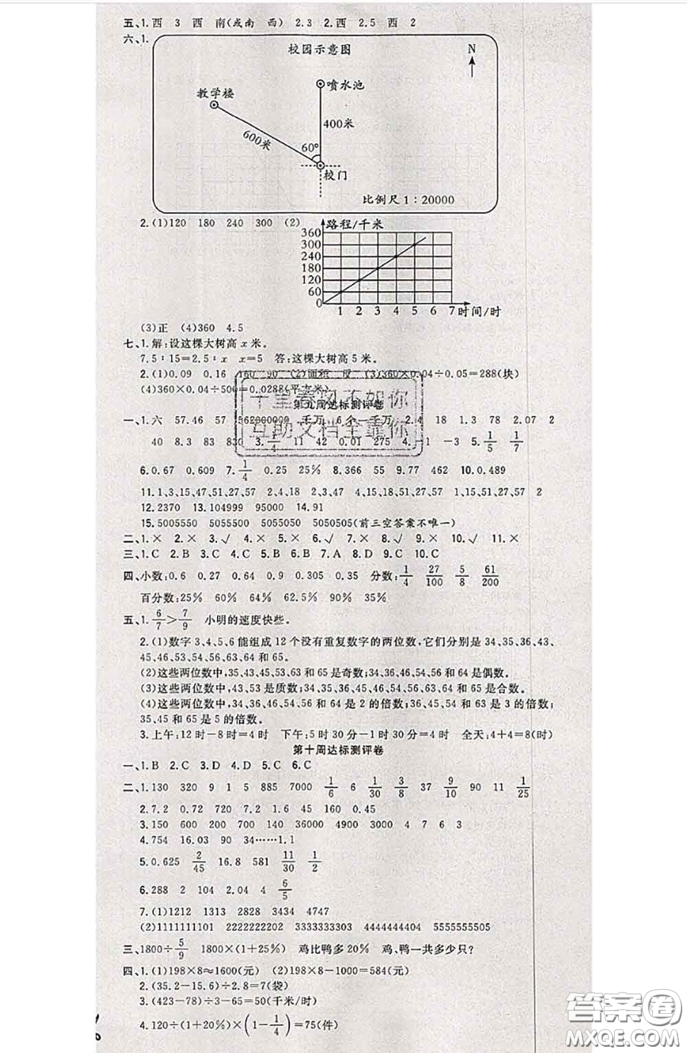 南方出版社2020狀元大考卷六年級數(shù)學下冊蘇教版答案