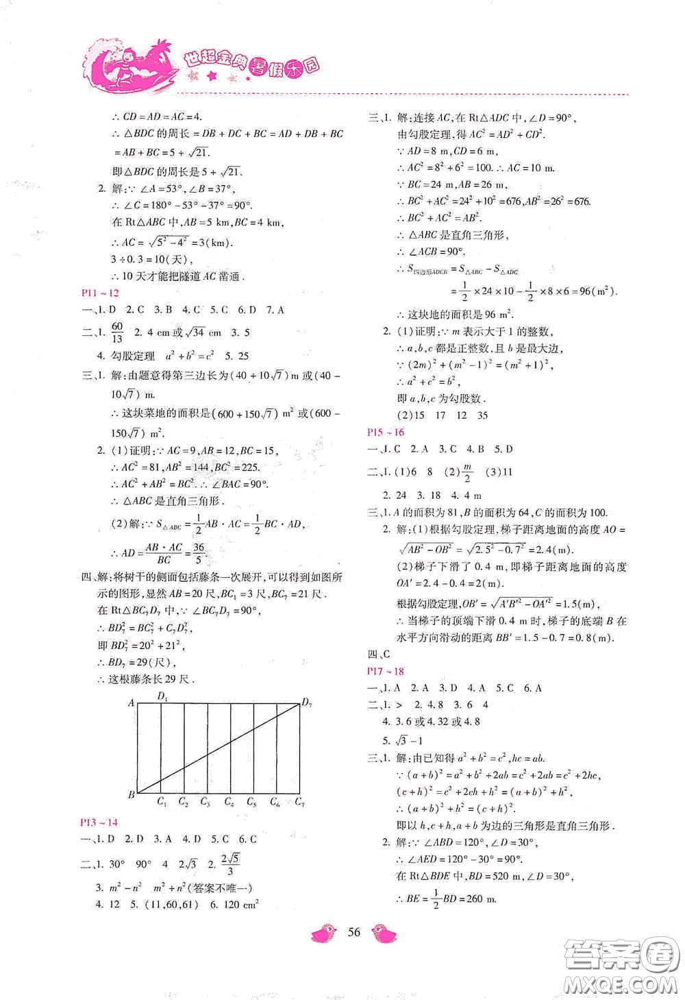 河北少年兒童出版社2020世超金典暑假樂園八年級數(shù)學(xué)答案