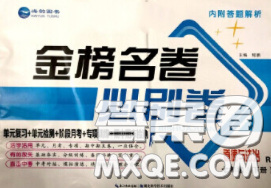 2020年金榜名卷必刷卷七年級道德與法治下冊人教版答案