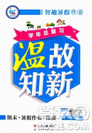 2020年智趣暑假作業(yè)學(xué)年總復(fù)習(xí)溫故知新數(shù)學(xué)七年級(jí)人教版參考答案