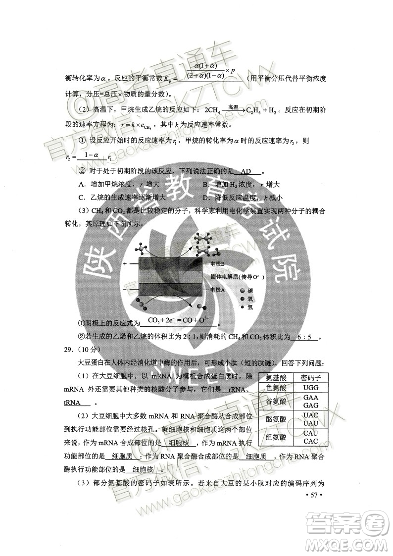 2020年全國高考真題全國II卷理科綜合能力測試試題及答案