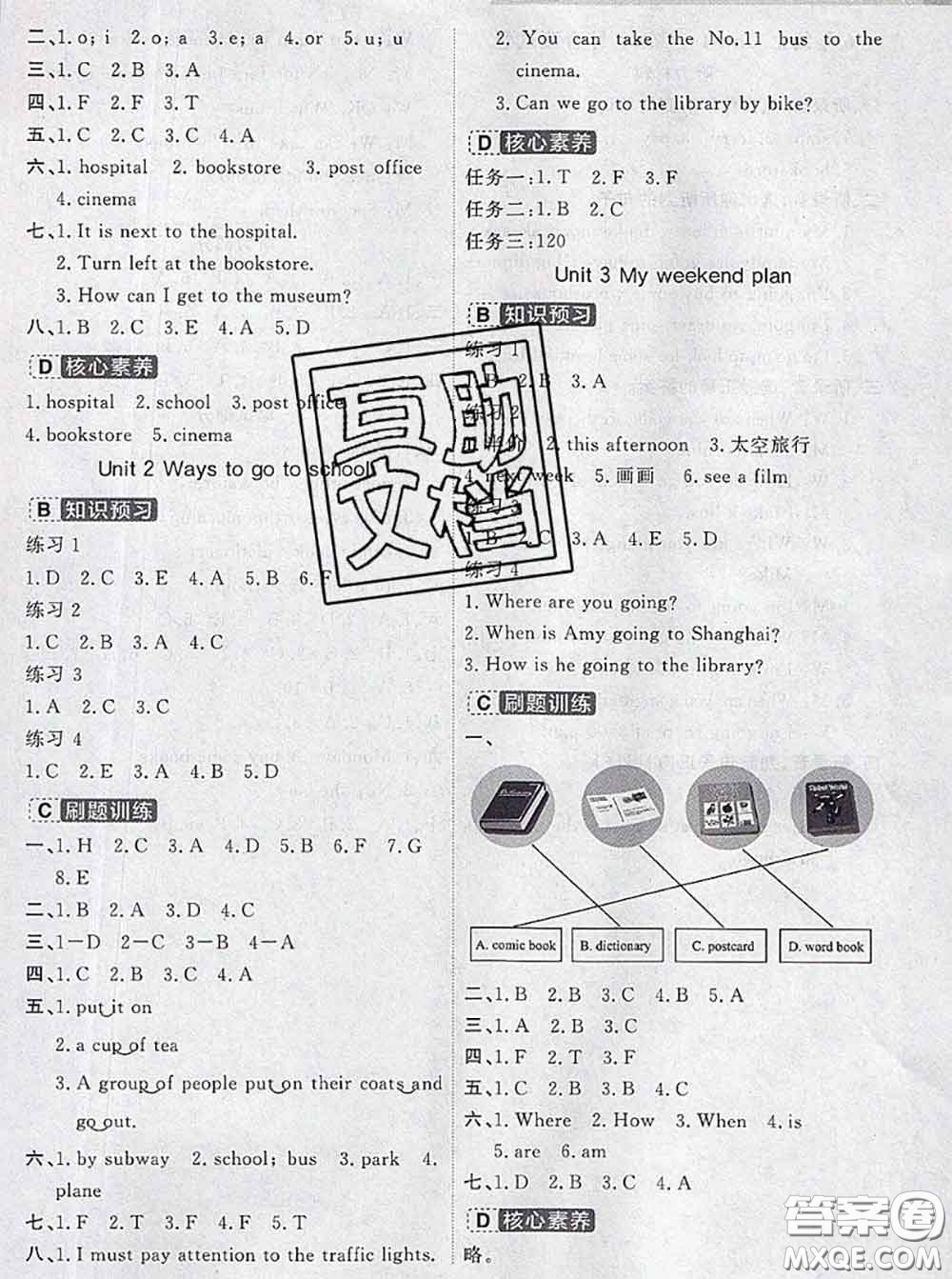 寧波出版社2020新版名師派暑假銜接五升六英語(yǔ)答案