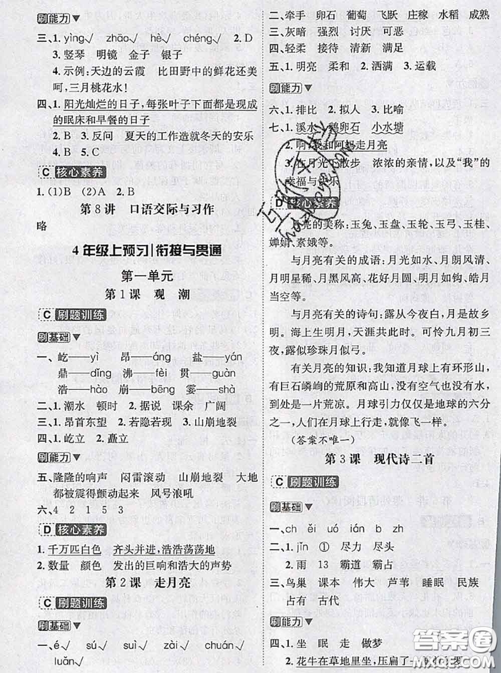 寧波出版社2020新版名師派暑假銜接三升四語文答案