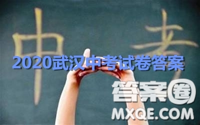 2020武漢市中考語文試卷及答案