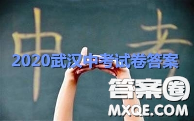 2020湖北省武漢市初中畢業(yè)生學業(yè)考試物理化學試卷及答案