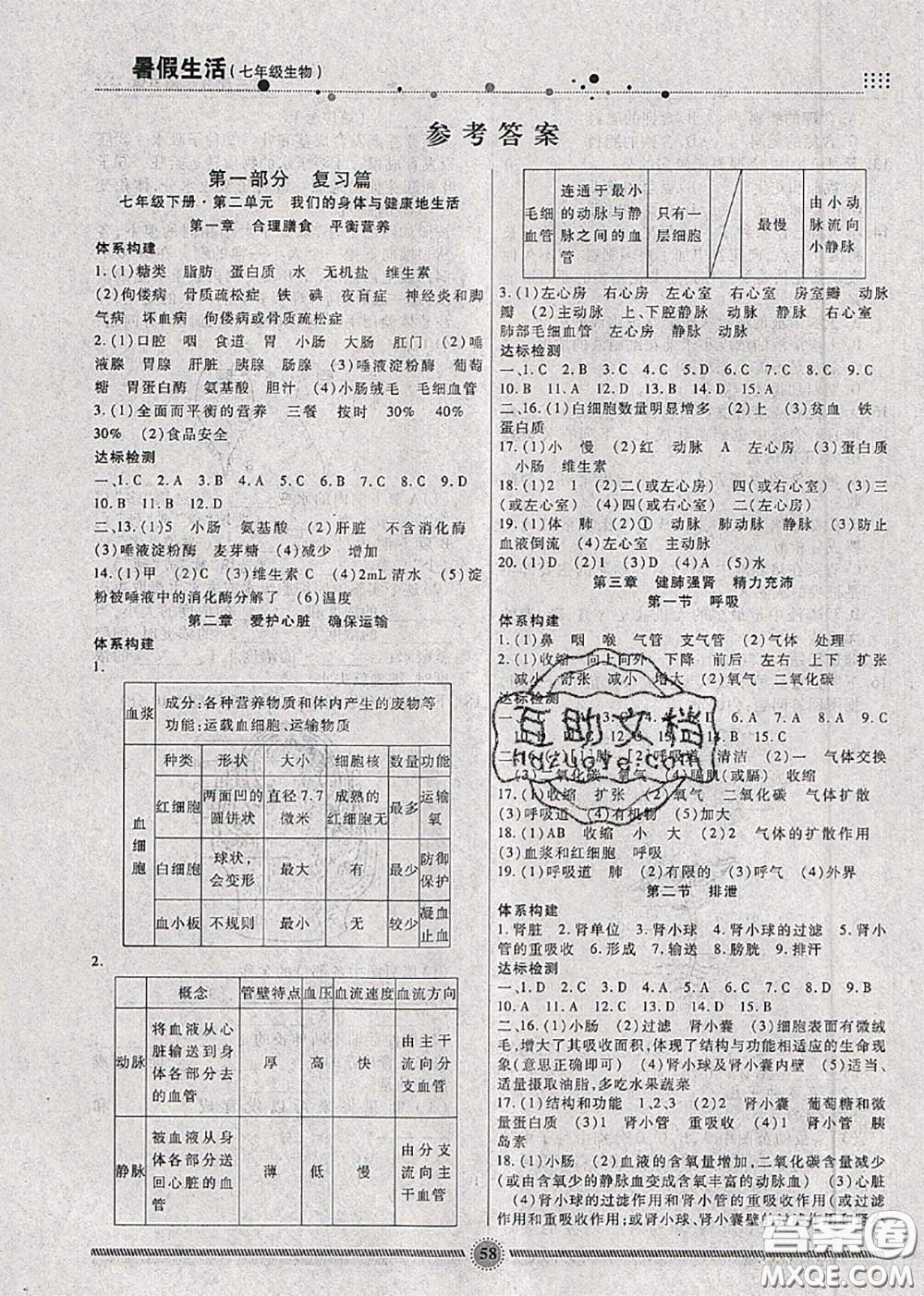 新疆文化出版社2020暑假生活七年級生物人教版參考答案