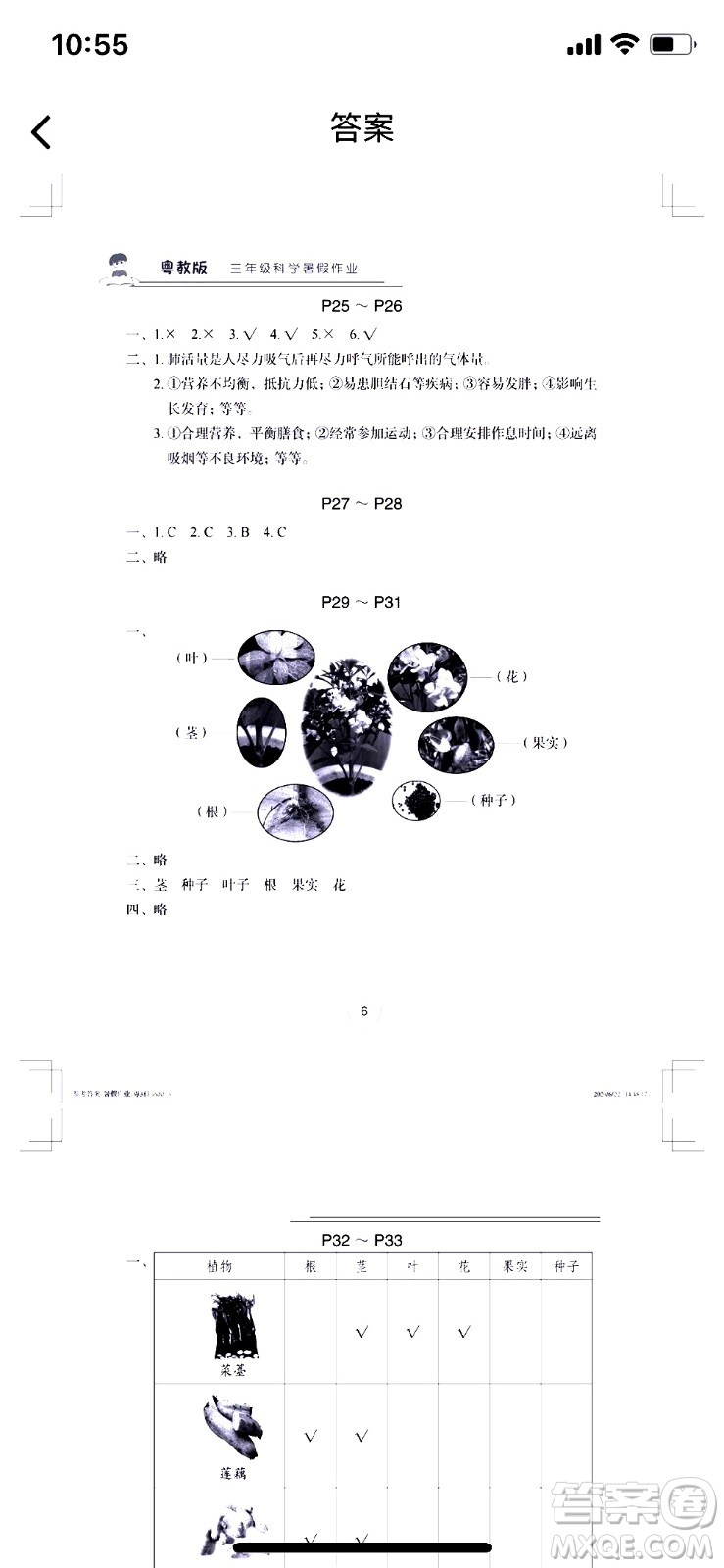 長(zhǎng)江少年兒童出版社2020年科學(xué)暑假作業(yè)三年級(jí)粵教版參考答案