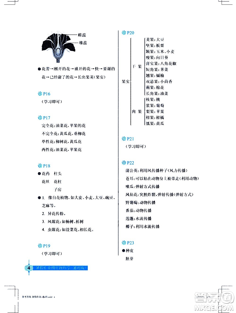 長江少年兒童出版社2020年科學暑假作業(yè)四年級通用版參考答案