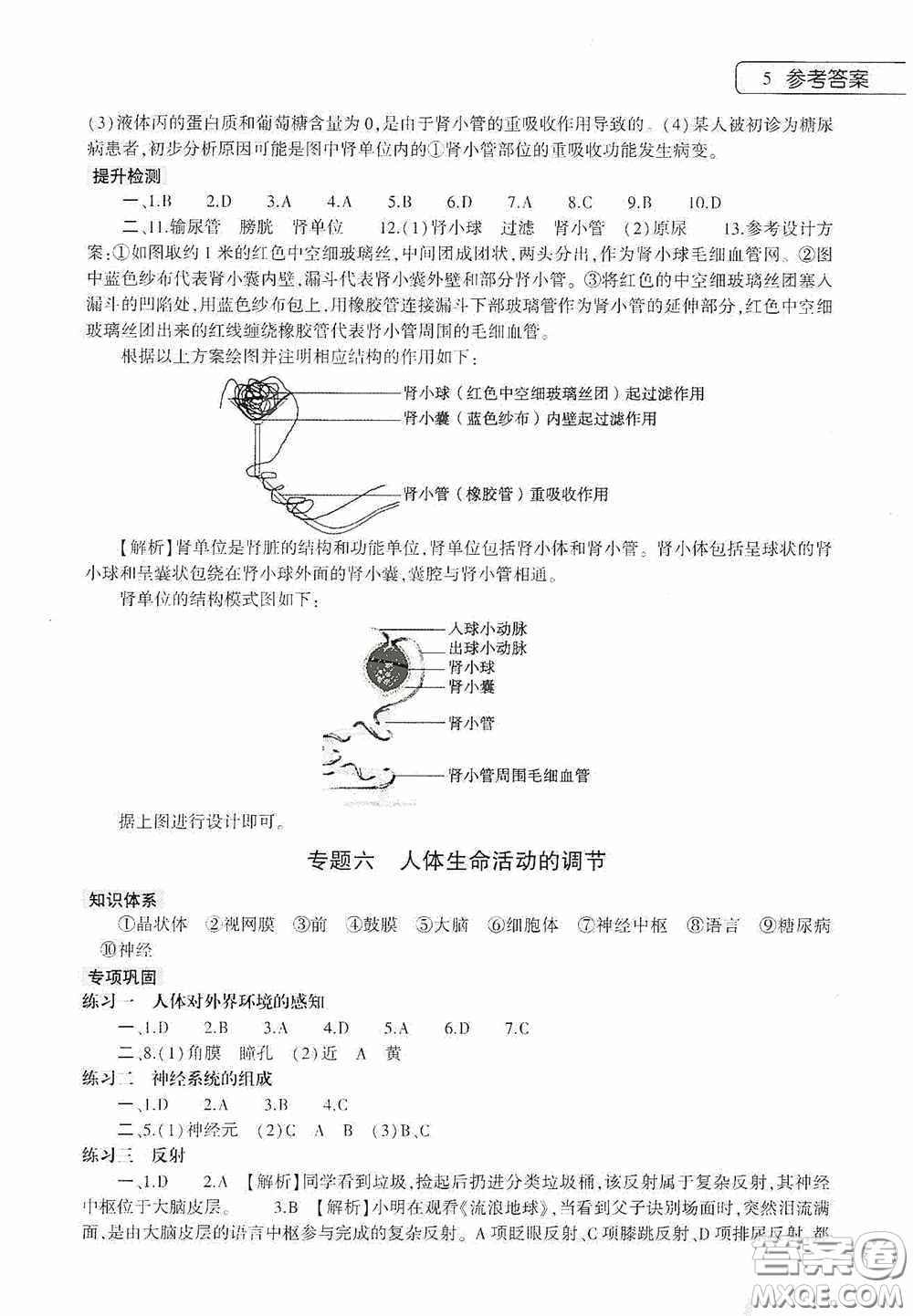 大象出版社2020暑假作業(yè)本生物學(xué)七年級(jí)下冊(cè)人教版答案