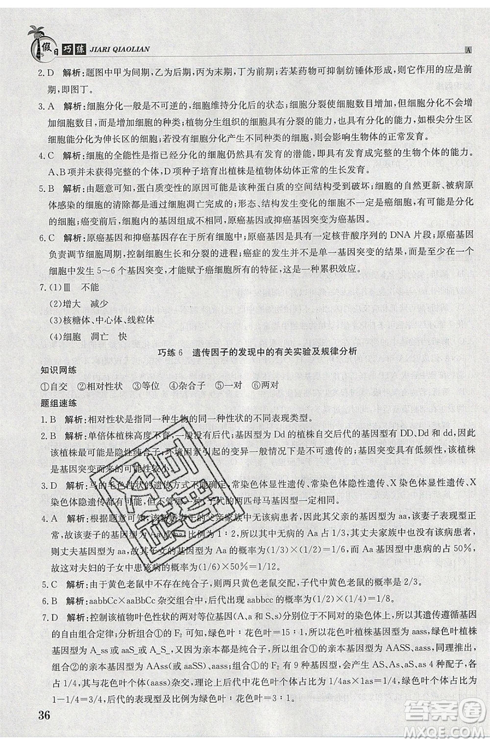 江西高校出版社2020年假日巧練暑假生物合訂本參考答案