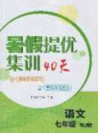 江蘇人民出版社2020年暑假提優(yōu)集訓(xùn)40天七年級語文RJ人教版參考答案