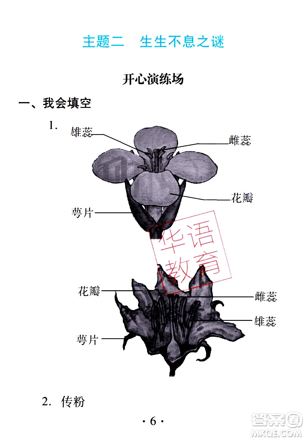 2020年假日知新暑假學(xué)習(xí)與生活四年級綜合學(xué)習(xí)版參考答案