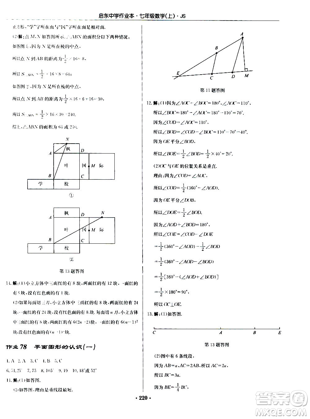 龍門(mén)書(shū)局2020秋啟東中學(xué)作業(yè)本七年級(jí)數(shù)學(xué)上冊(cè)SJ蘇教版參考答案