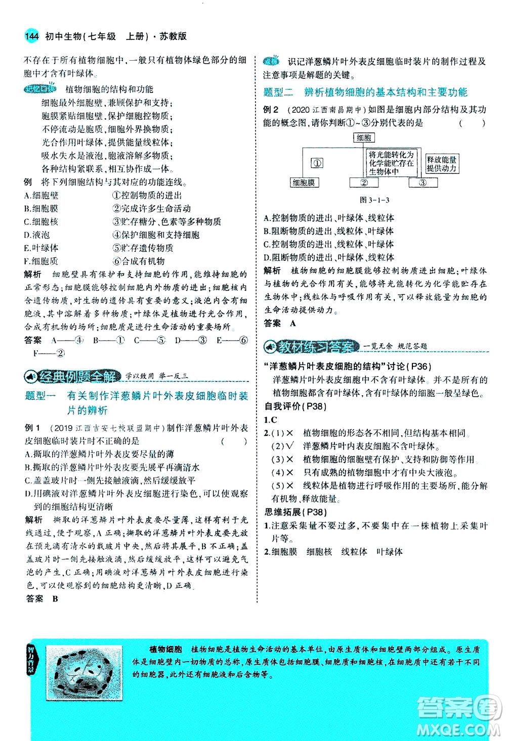 教育科學(xué)出版社2020秋5年中考3年模擬全解版初中生物七年級(jí)上冊(cè)蘇教版參考答案