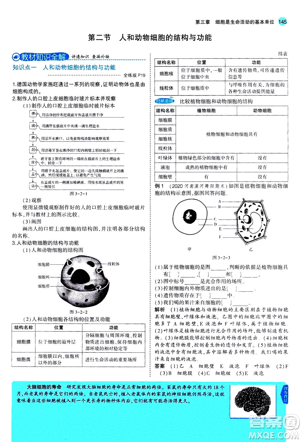 教育科學(xué)出版社2020秋5年中考3年模擬全解版初中生物七年級(jí)上冊(cè)蘇教版參考答案