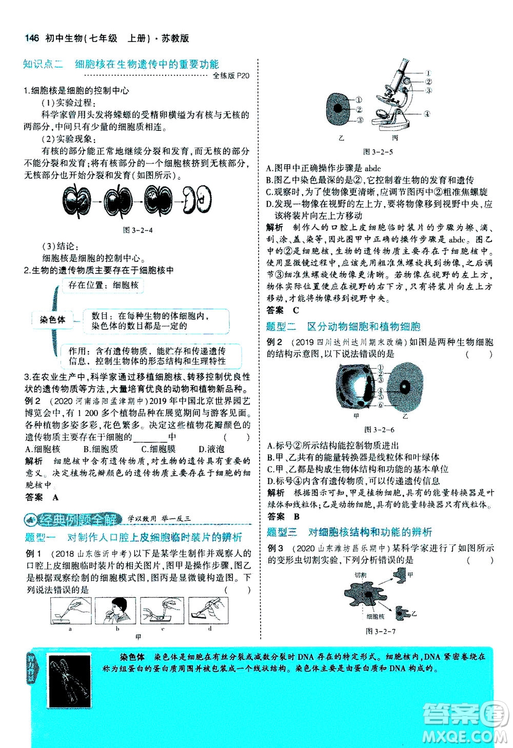 教育科學(xué)出版社2020秋5年中考3年模擬全解版初中生物七年級(jí)上冊(cè)蘇教版參考答案