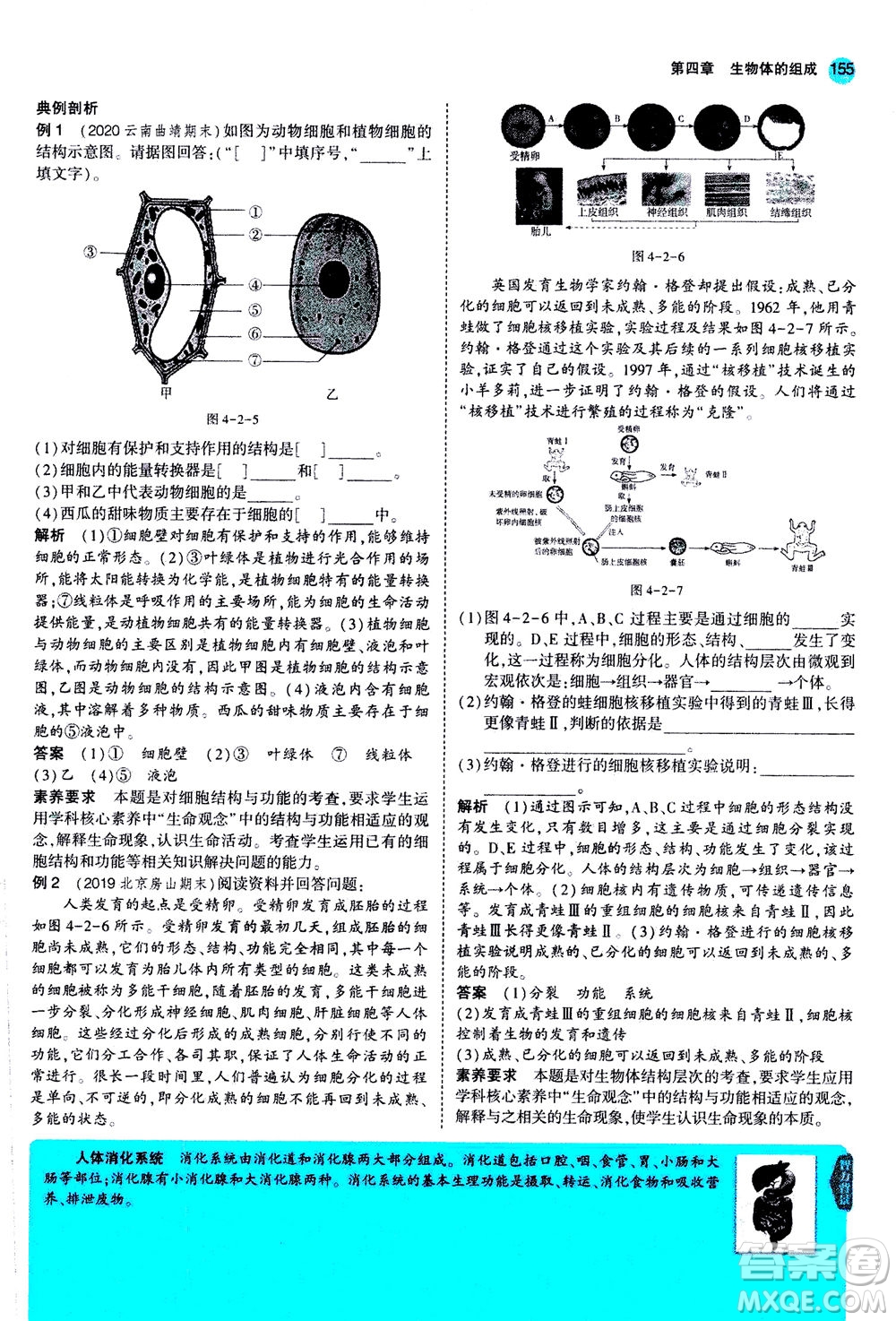 教育科學(xué)出版社2020秋5年中考3年模擬全解版初中生物七年級(jí)上冊(cè)蘇教版參考答案