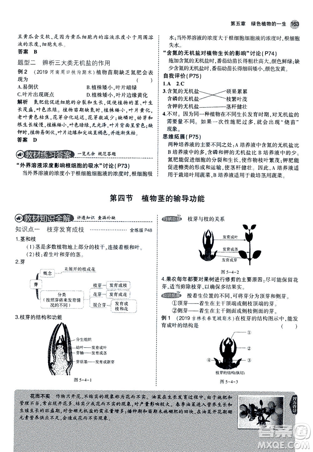 教育科學(xué)出版社2020秋5年中考3年模擬全解版初中生物七年級(jí)上冊(cè)蘇教版參考答案