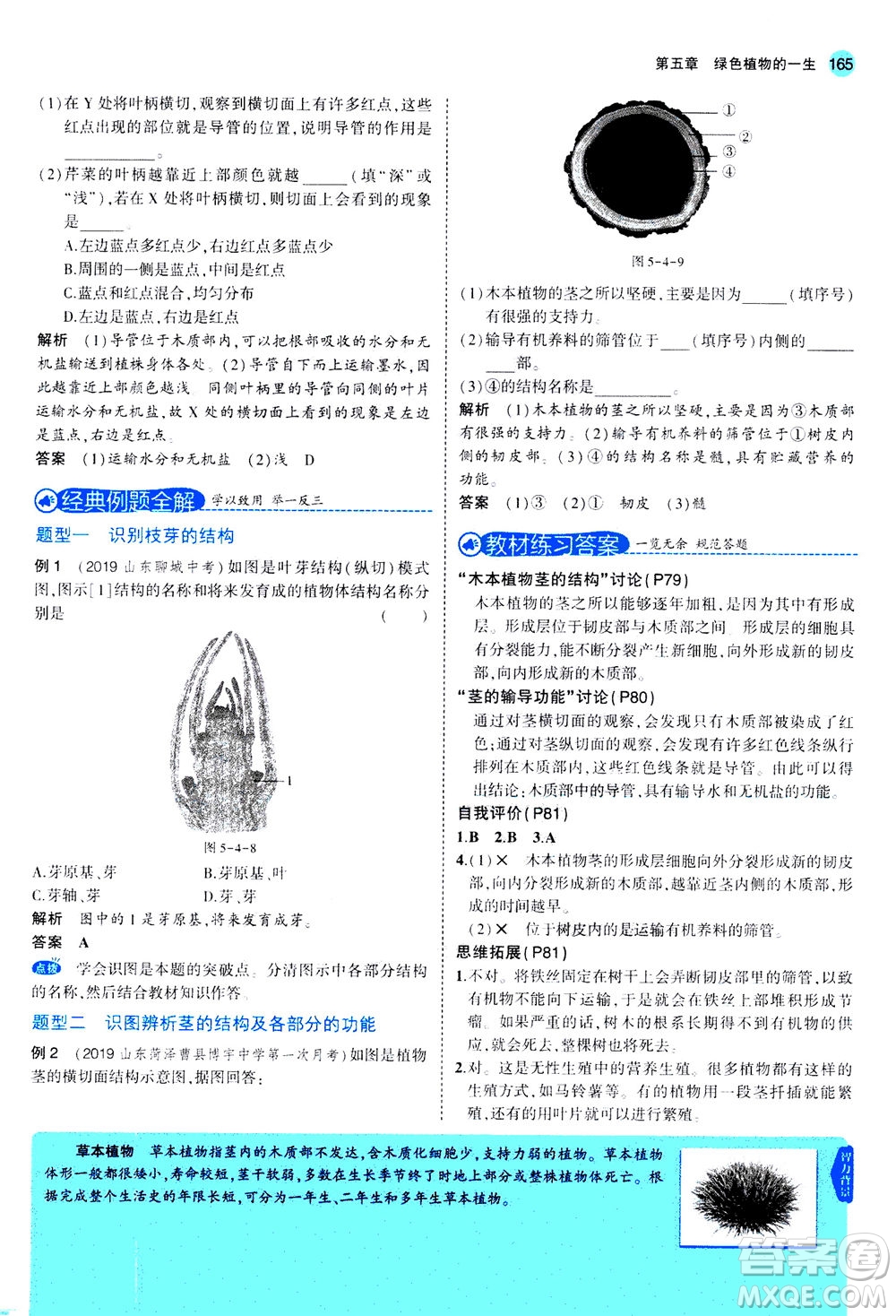 教育科學(xué)出版社2020秋5年中考3年模擬全解版初中生物七年級(jí)上冊(cè)蘇教版參考答案