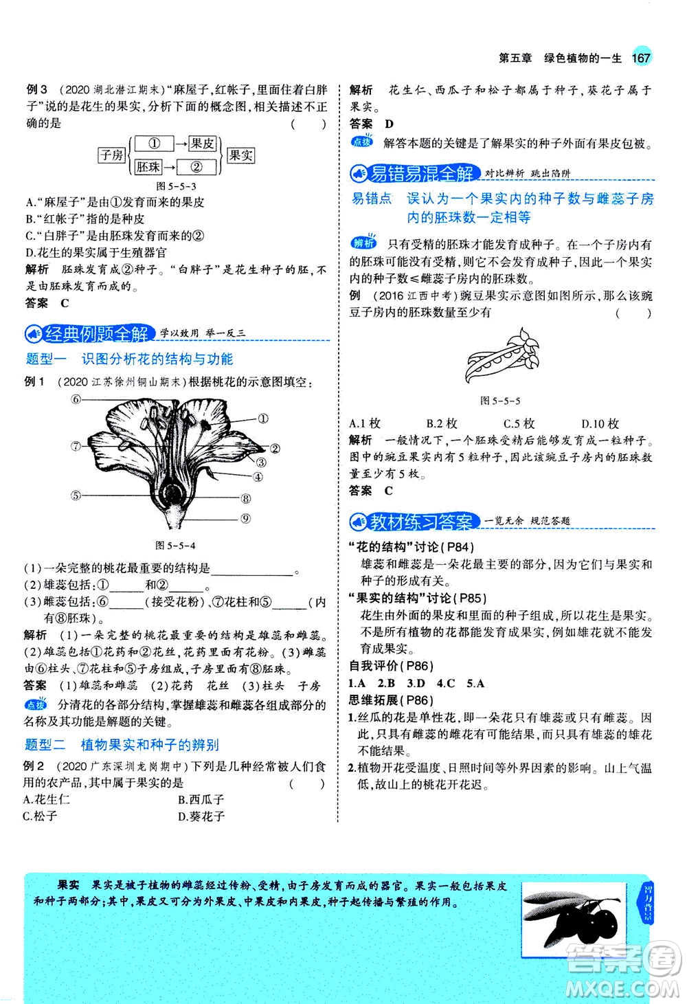 教育科學(xué)出版社2020秋5年中考3年模擬全解版初中生物七年級(jí)上冊(cè)蘇教版參考答案