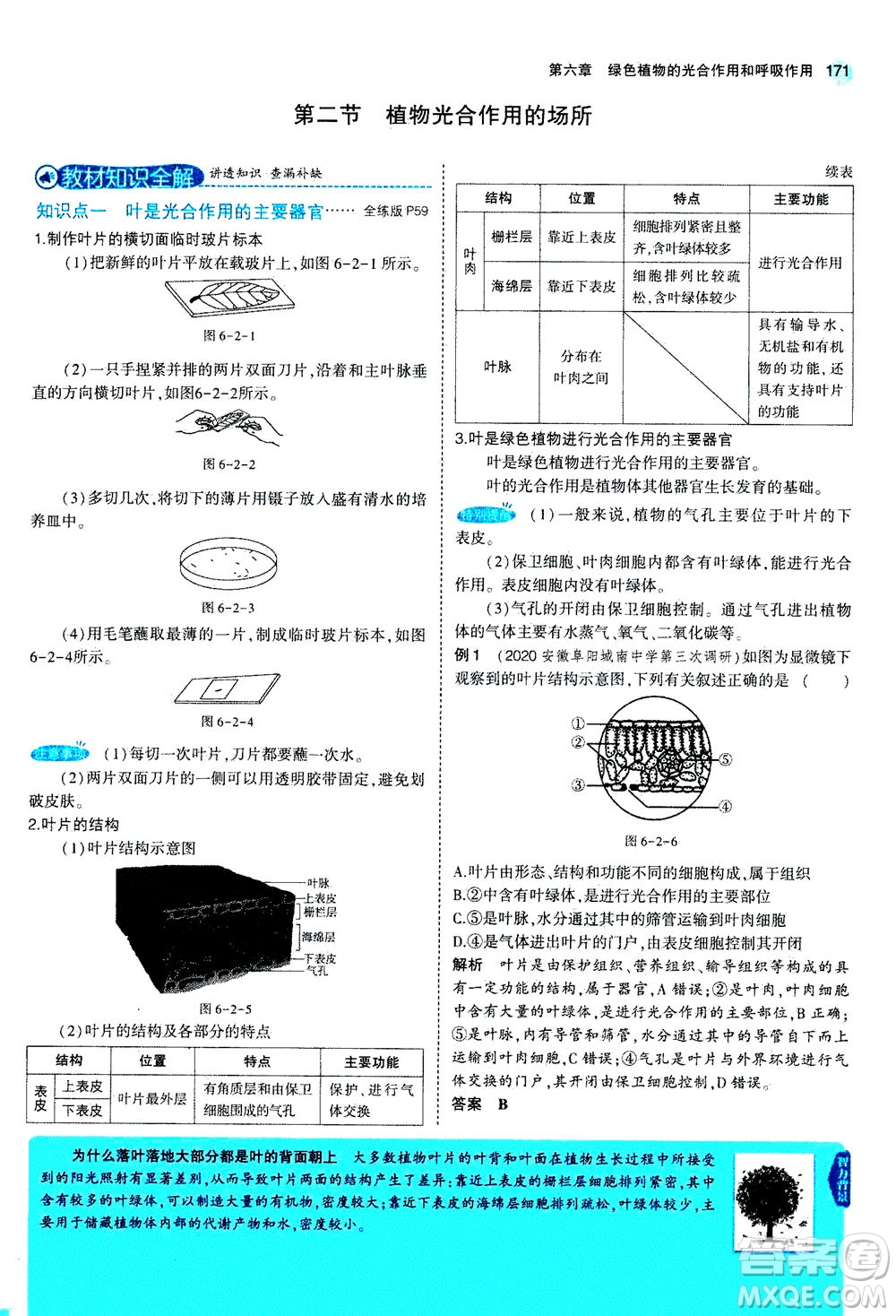 教育科學(xué)出版社2020秋5年中考3年模擬全解版初中生物七年級(jí)上冊(cè)蘇教版參考答案