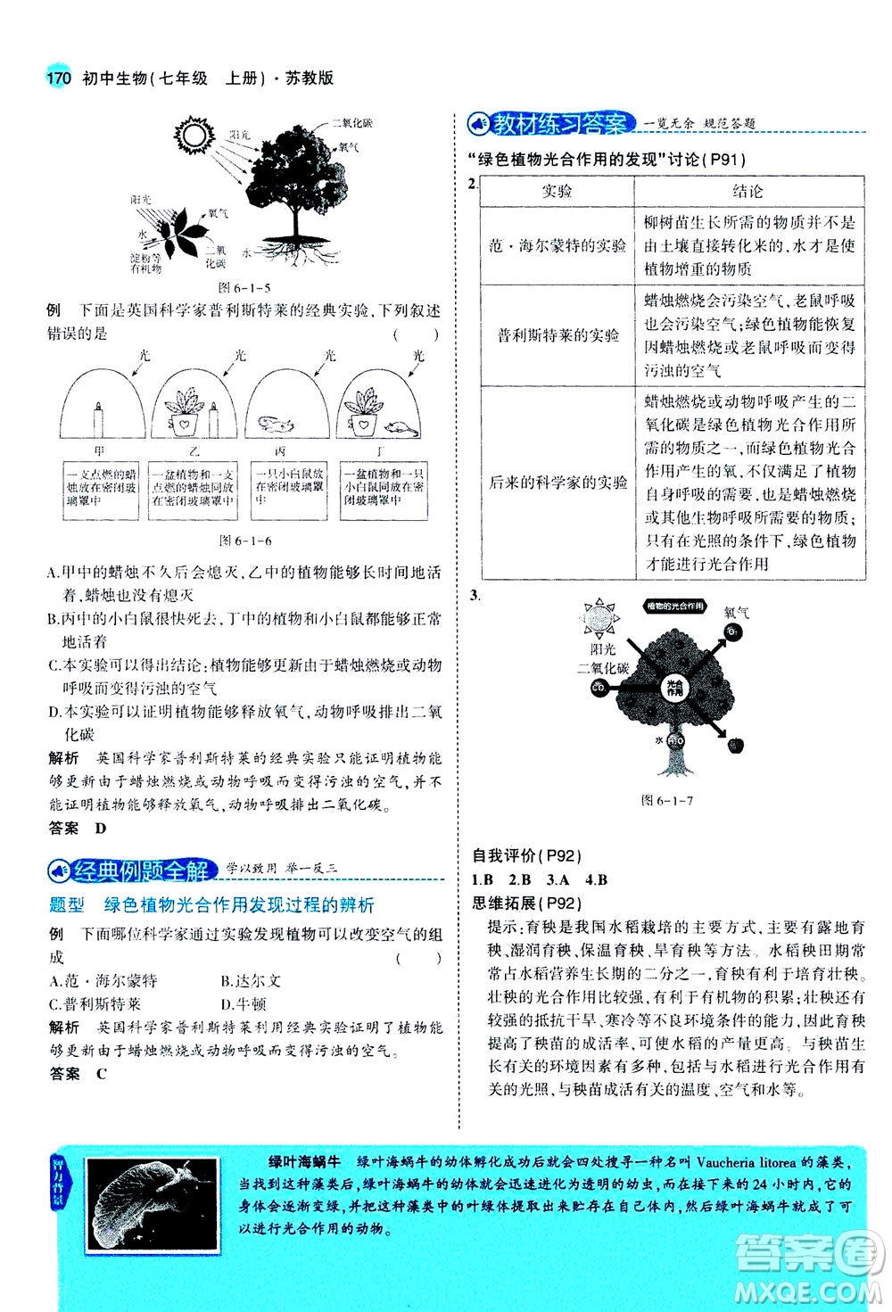 教育科學(xué)出版社2020秋5年中考3年模擬全解版初中生物七年級(jí)上冊(cè)蘇教版參考答案