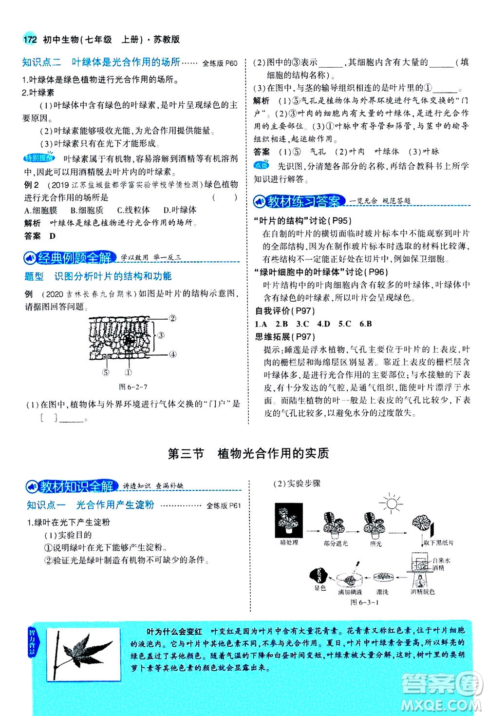 教育科學(xué)出版社2020秋5年中考3年模擬全解版初中生物七年級(jí)上冊(cè)蘇教版參考答案