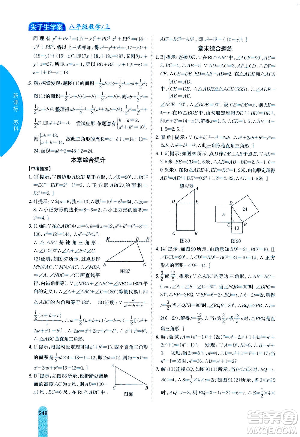 吉林人民出版社2020秋尖子生學(xué)案數(shù)學(xué)八年級(jí)上冊(cè)新課標(biāo)蘇科版參考答案